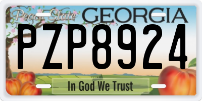 GA license plate PZP8924