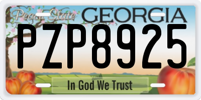 GA license plate PZP8925