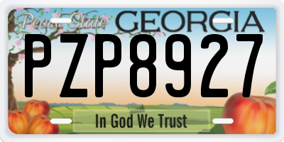 GA license plate PZP8927