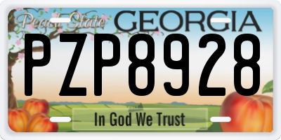 GA license plate PZP8928