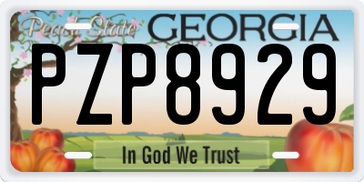 GA license plate PZP8929