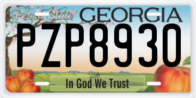 GA license plate PZP8930