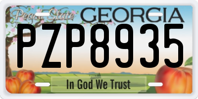GA license plate PZP8935
