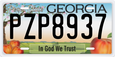 GA license plate PZP8937