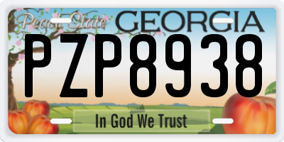 GA license plate PZP8938