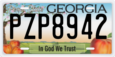 GA license plate PZP8942