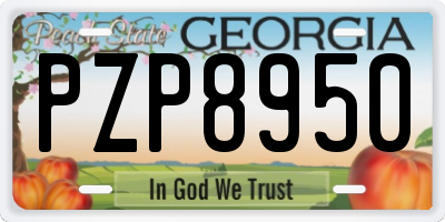 GA license plate PZP8950