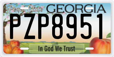 GA license plate PZP8951