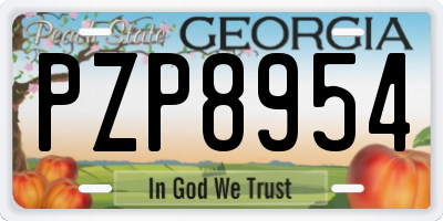 GA license plate PZP8954