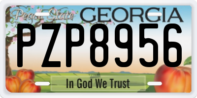 GA license plate PZP8956
