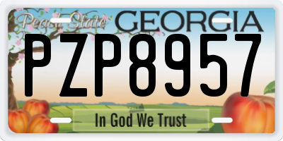 GA license plate PZP8957