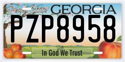 GA license plate PZP8958