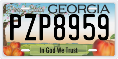GA license plate PZP8959