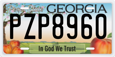 GA license plate PZP8960