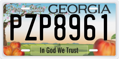 GA license plate PZP8961