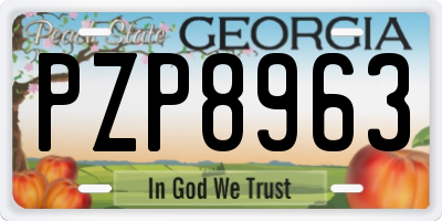 GA license plate PZP8963