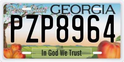 GA license plate PZP8964