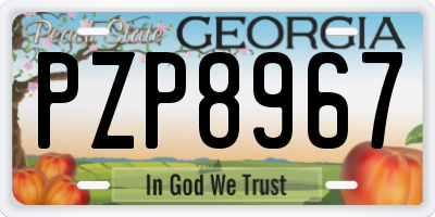 GA license plate PZP8967