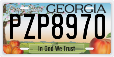 GA license plate PZP8970