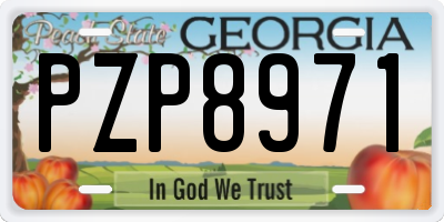 GA license plate PZP8971