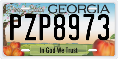 GA license plate PZP8973