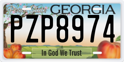 GA license plate PZP8974