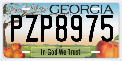 GA license plate PZP8975