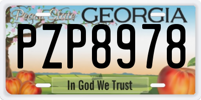 GA license plate PZP8978