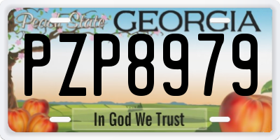 GA license plate PZP8979
