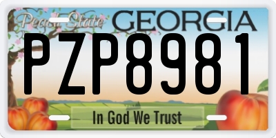 GA license plate PZP8981