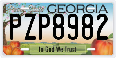 GA license plate PZP8982