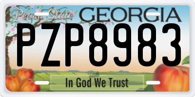 GA license plate PZP8983
