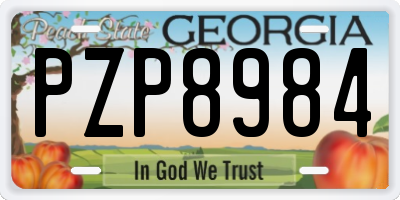 GA license plate PZP8984
