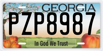 GA license plate PZP8987