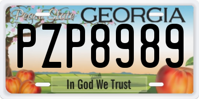 GA license plate PZP8989
