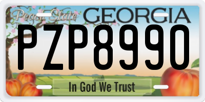 GA license plate PZP8990
