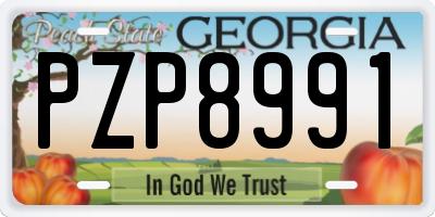GA license plate PZP8991