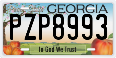 GA license plate PZP8993