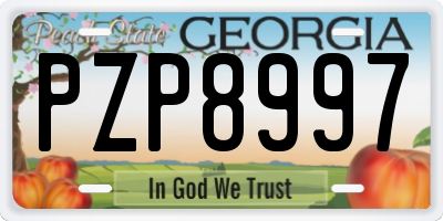 GA license plate PZP8997