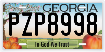 GA license plate PZP8998