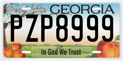 GA license plate PZP8999