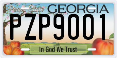 GA license plate PZP9001