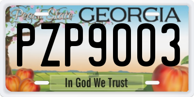 GA license plate PZP9003