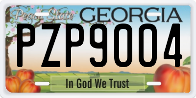 GA license plate PZP9004