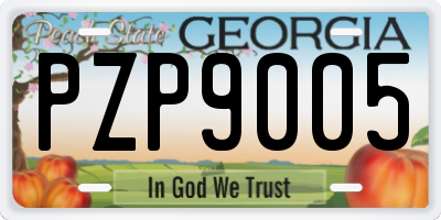 GA license plate PZP9005