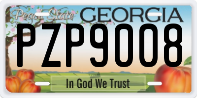 GA license plate PZP9008