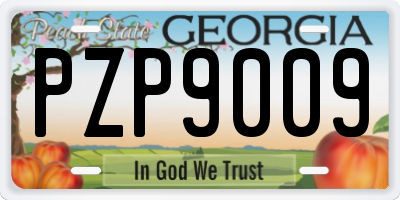 GA license plate PZP9009