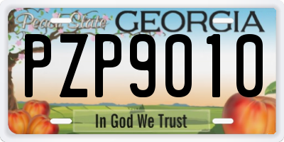 GA license plate PZP9010