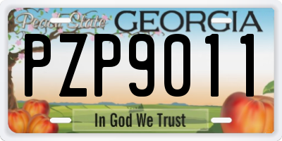GA license plate PZP9011