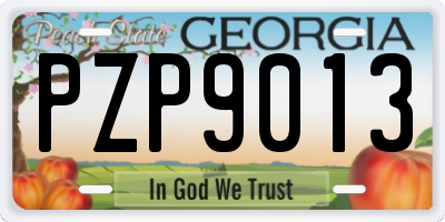 GA license plate PZP9013